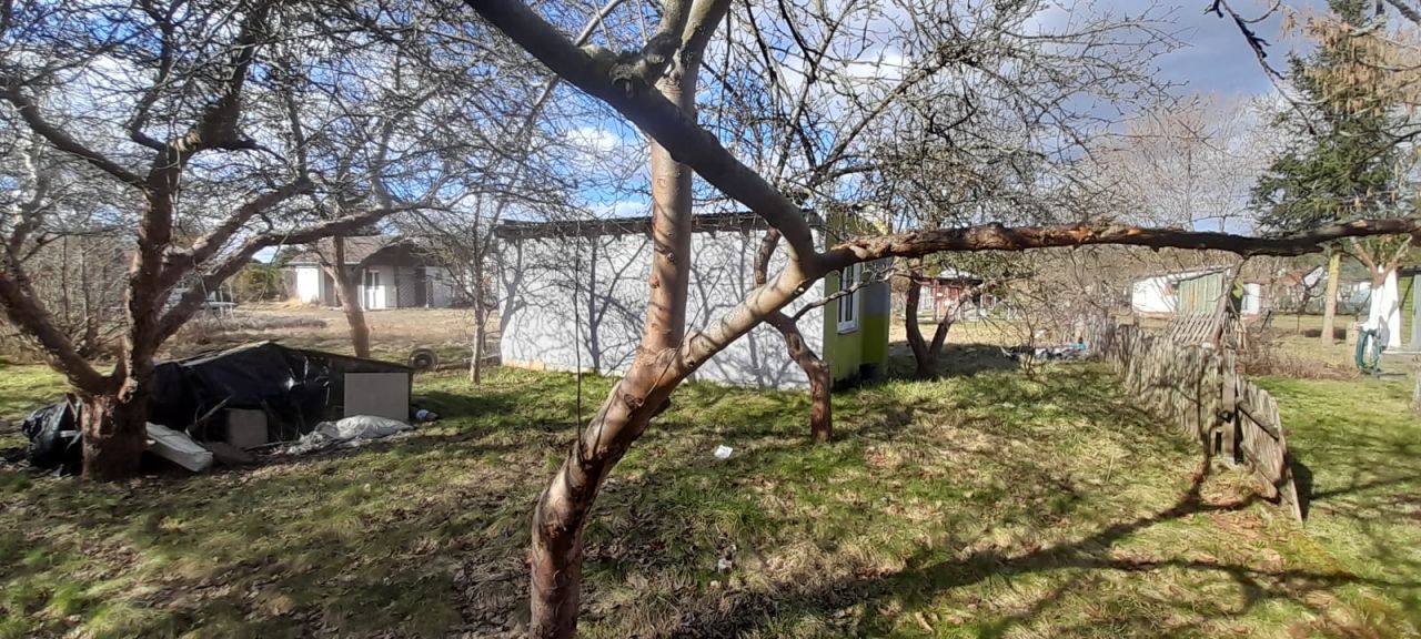 Działka rod Zielona Góra Ochla, ul. Ochla-Kożuchowska. Zdjęcie 8