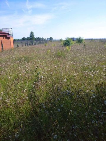 Działka rolna Chłapowo, ul. Górnicza. Zdjęcie 1