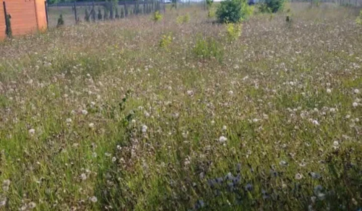 Działka rolna Chłapowo, ul. Górnicza