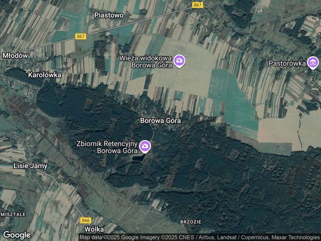 Działka leśna Borowa Góra. Zdjęcie 1