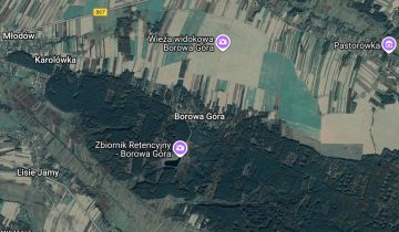 Działka leśna Borowa Góra