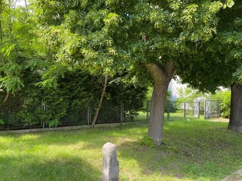 Działka budowlana Głowno Swoboda, ul. Swoboda. Zdjęcie 2