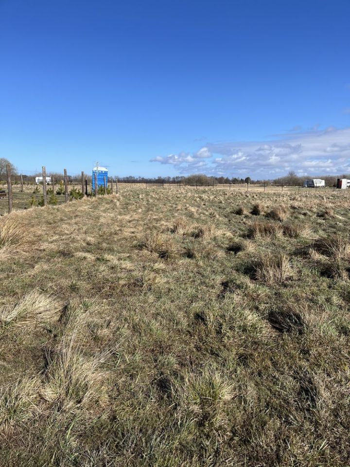 Działka rolna Karwieńskie Błoto Drugie. Zdjęcie 4