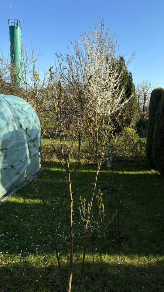 Działka rod Kraków Wzgórza Krzesławickie, Kocmyrzowska 38. Zdjęcie 5