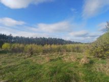 Działka inwestycyjna Rudno Jeziorowe. Zdjęcie 3