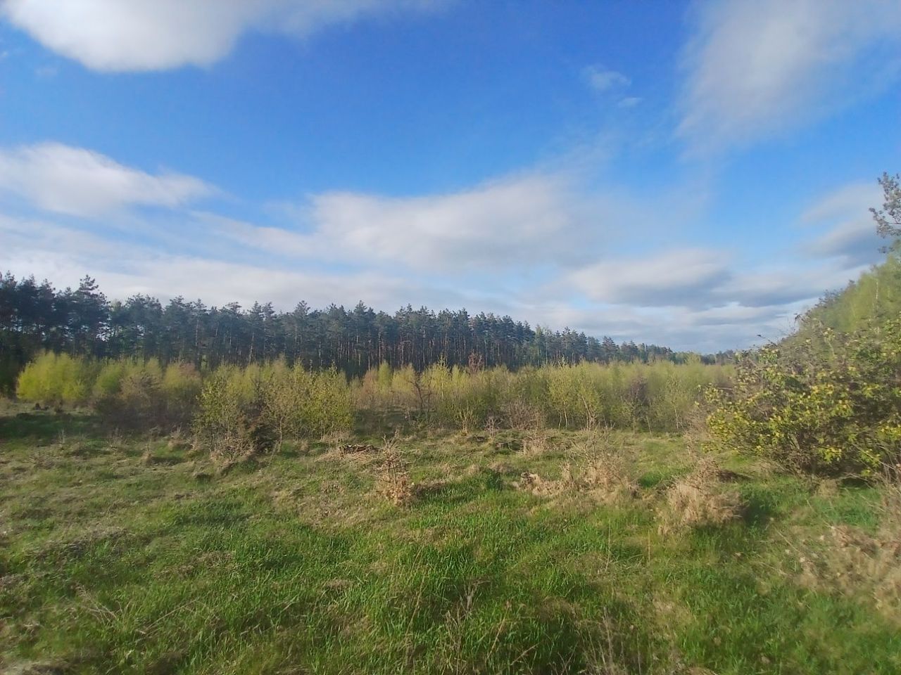 Działka inwestycyjna Rudno Jeziorowe. Zdjęcie 4