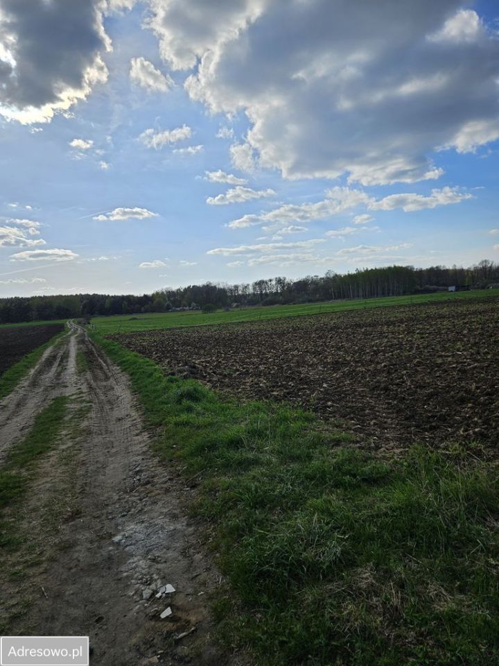 Działka budowlana Lubnów. Zdjęcie 5