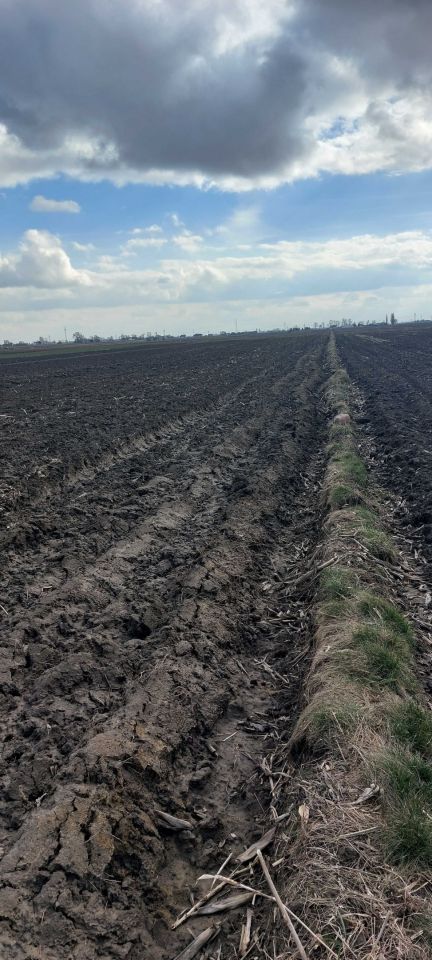 Działka budowlana Zaborówek. Zdjęcie 2