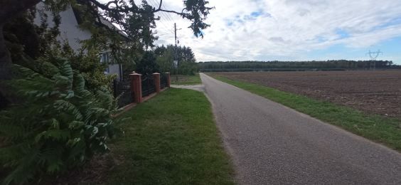 Działka rolno-budowlana Piaski Nowa Wieś. Zdjęcie 3