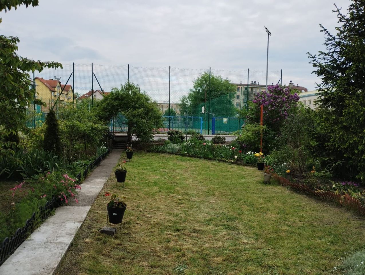 Działka rod Wrocław, ul. Raciborska