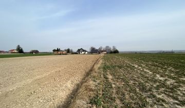 Działka budowlana Celiny