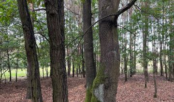 Działka siedliskowa Witkowice