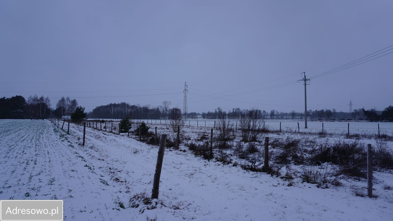 Działka budowlana Barłogi. Zdjęcie 5