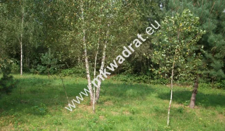 Działka siedliskowa Zimna Woda