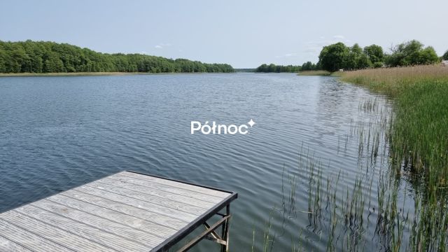 Działka rolna Cisy. Zdjęcie 3
