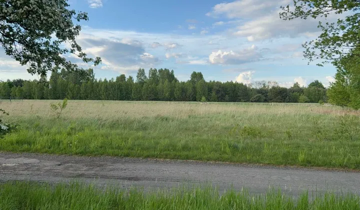 Działka budowlana Libidza