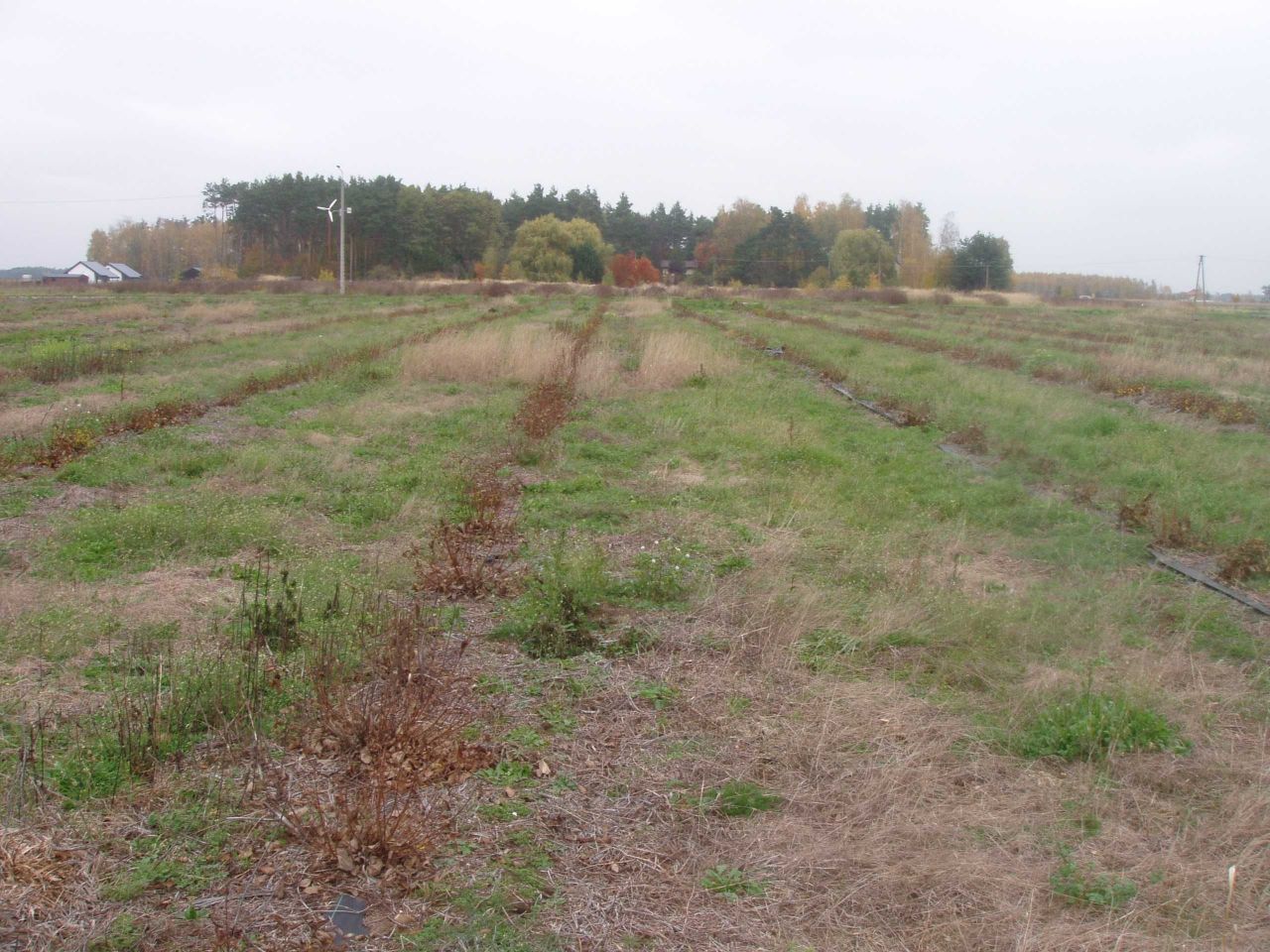 Działka inwestycyjna Lorcin. Zdjęcie 3