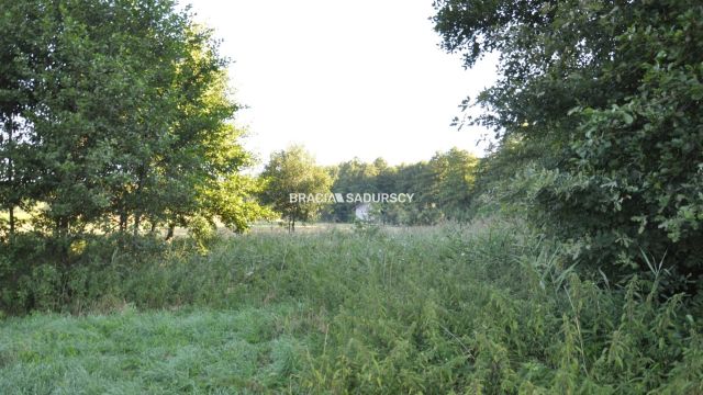 Działka inwestycyjna Rudno. Zdjęcie 7