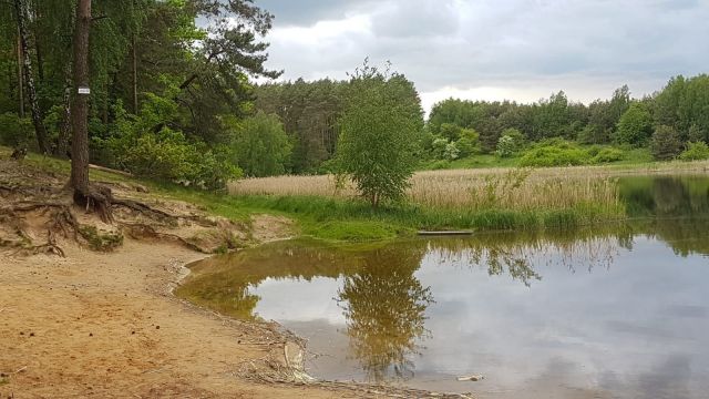 Działka inna Biskupice, ul. Dworcowa. Zdjęcie 1