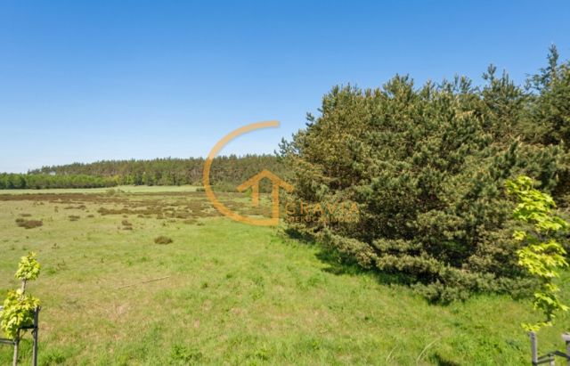 Działka leśna Linia, ul. Długa. Zdjęcie 3