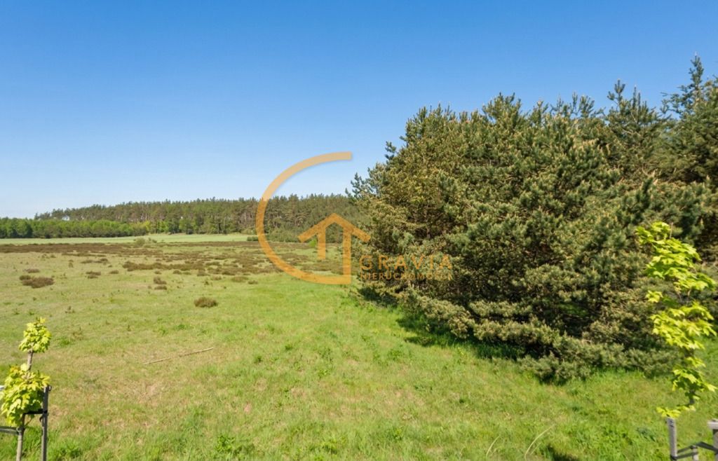 Działka leśna Linia, ul. Długa. Zdjęcie 3