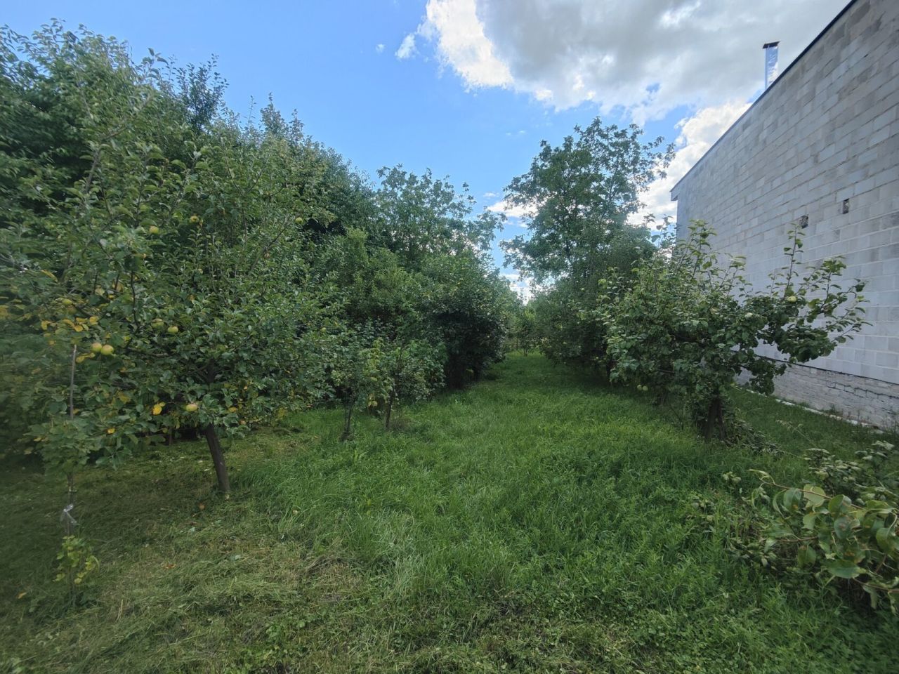 dom wolnostojący, 6 pokoi Busko-Zdrój Choinki, ul. Łagiewnicka. Zdjęcie 27