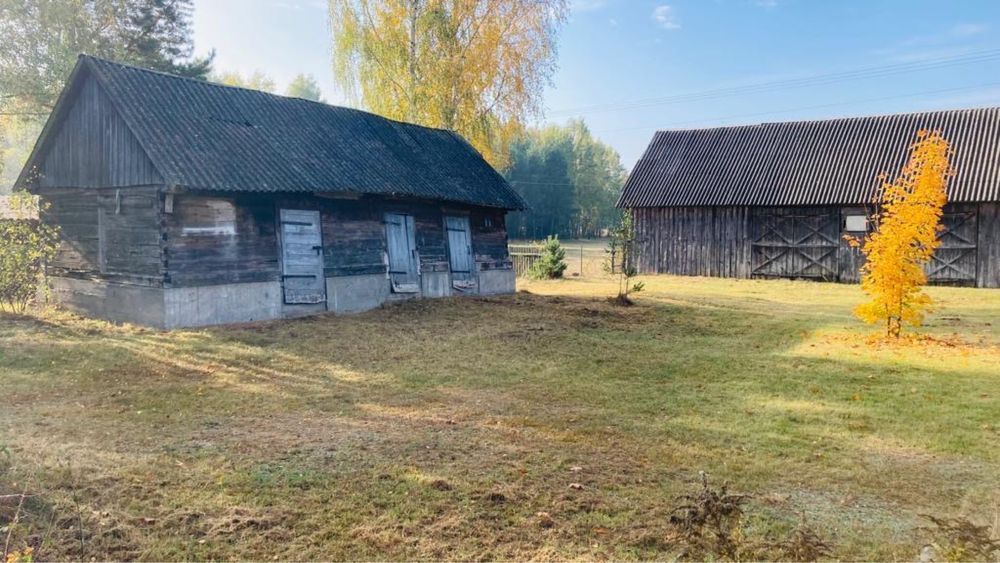 Działka rolno-budowlana Rząśnik-Majdan. Zdjęcie 7