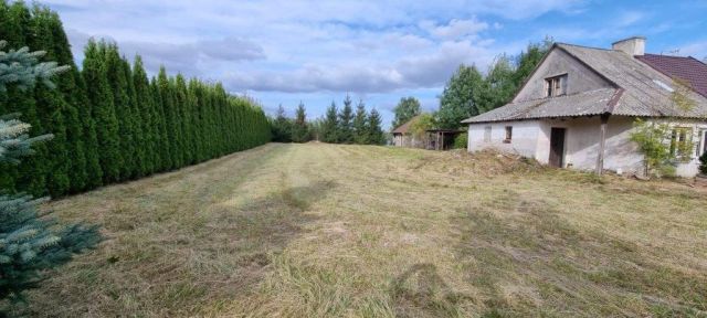 Działka siedliskowa Krajkowo. Zdjęcie 1