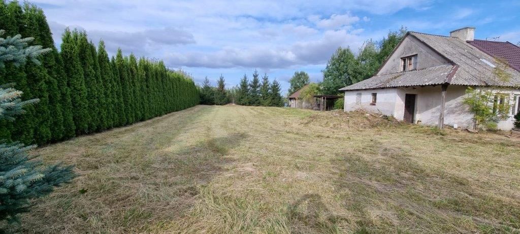 Działka siedliskowa Krajkowo. Zdjęcie 1