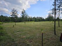 Działka budowlana Spychowo, ul. Rzeczna. Zdjęcie 3