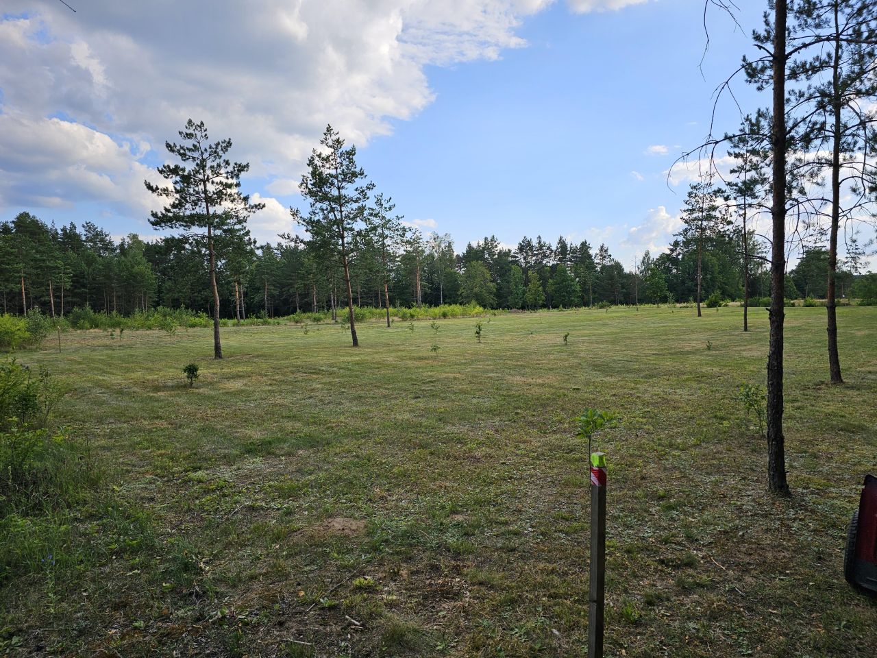 Działka budowlana Spychowo, ul. Rzeczna. Zdjęcie 4