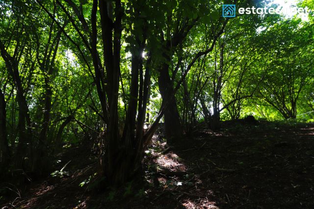 Działka budowlana Nielepice. Zdjęcie 24