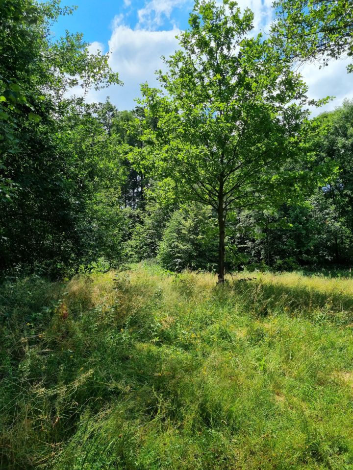 Działka budowlana Bielsko-Biała, Wawelska/Deszczowa. Zdjęcie 18