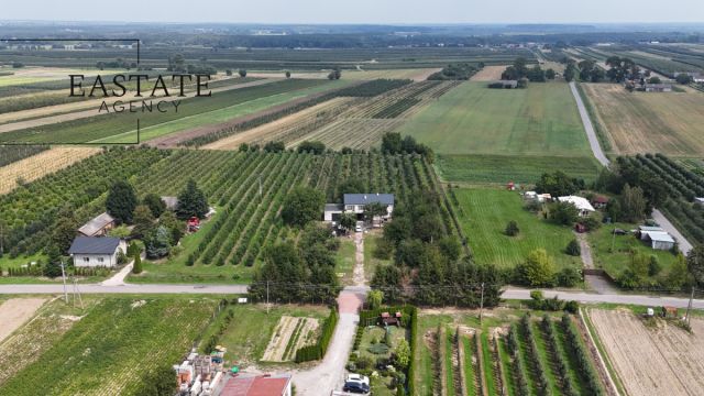 Działka rolna Świdno. Zdjęcie 5