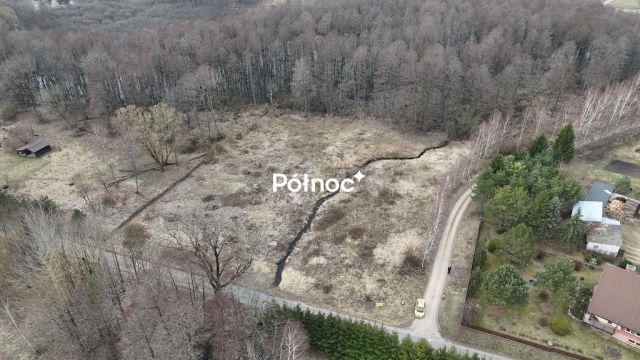 Działka rolna Rogojny. Zdjęcie 9