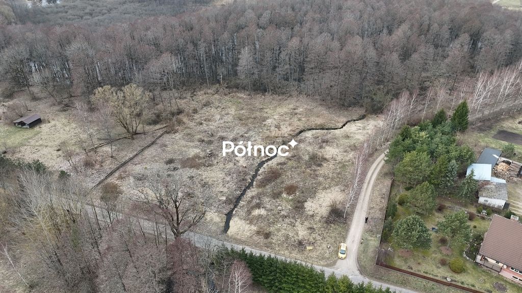 Działka rolna Rogojny. Zdjęcie 9