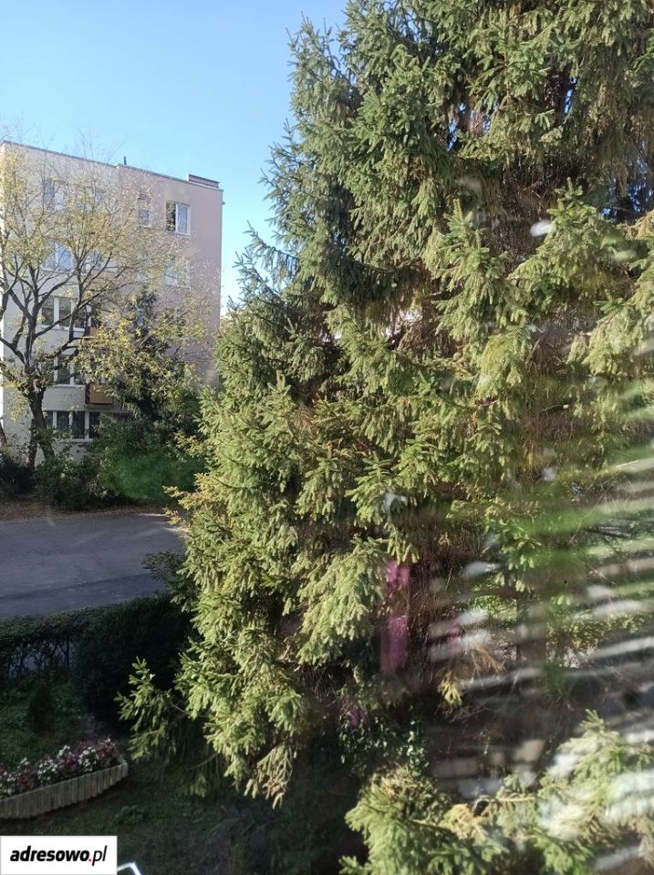 Mieszkanie 2-pokojowe Warszawa Mokotów, ul. Śniardwy. Zdjęcie 13