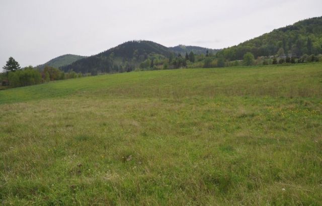 Działka rolna Jedlina-Zdrój. Zdjęcie 1