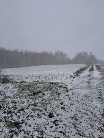 Działka rolno-budowlana Zielonka. Zdjęcie 1