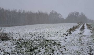 Działka rolno-budowlana Zielonka