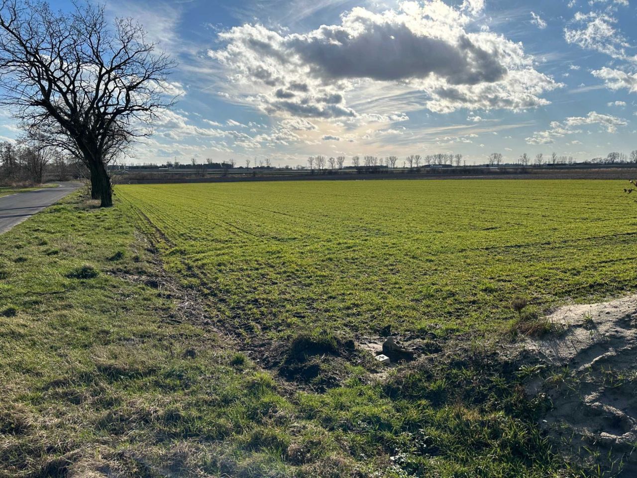 Działka budowlana Markowice. Zdjęcie 5