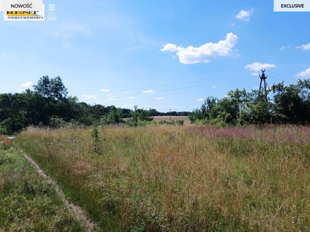 Działka budowlana Breń. Zdjęcie 5