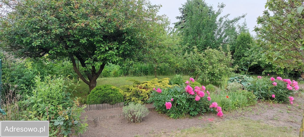 Działka rod Września, ul. Wojska Polskiego. Zdjęcie 2