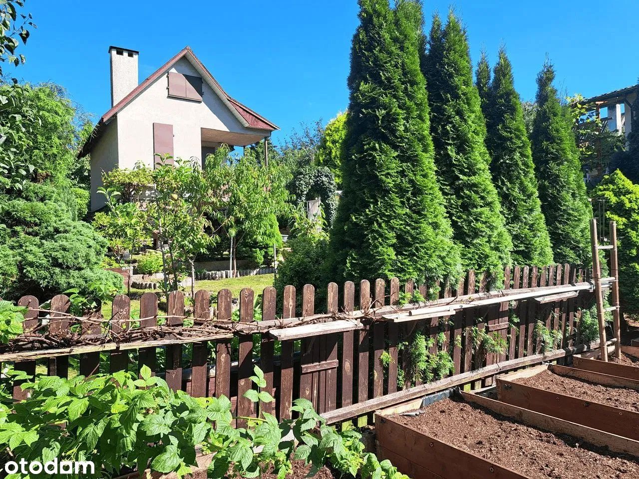 Działka rod Gdańsk Morena, ul. Wołkowyska. Zdjęcie 7