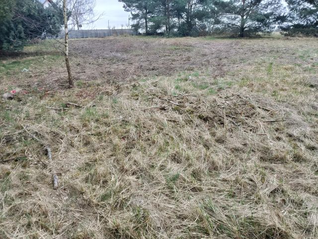 Działka budowlana Masłów. Zdjęcie 1