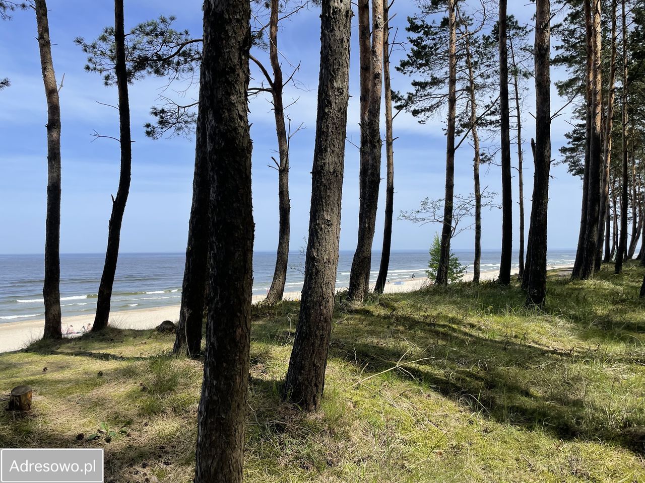 Mieszkanie 2-pokojowe Stegna, ul. Lipowa. Zdjęcie 11