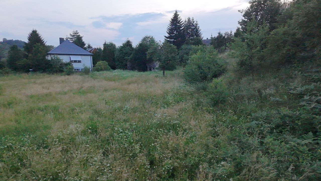Działka budowlana Rabka-Zdrój Zaryte. Zdjęcie 8