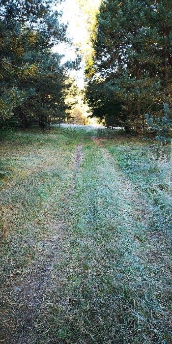 Działka budowlana Zakrucze. Zdjęcie 4