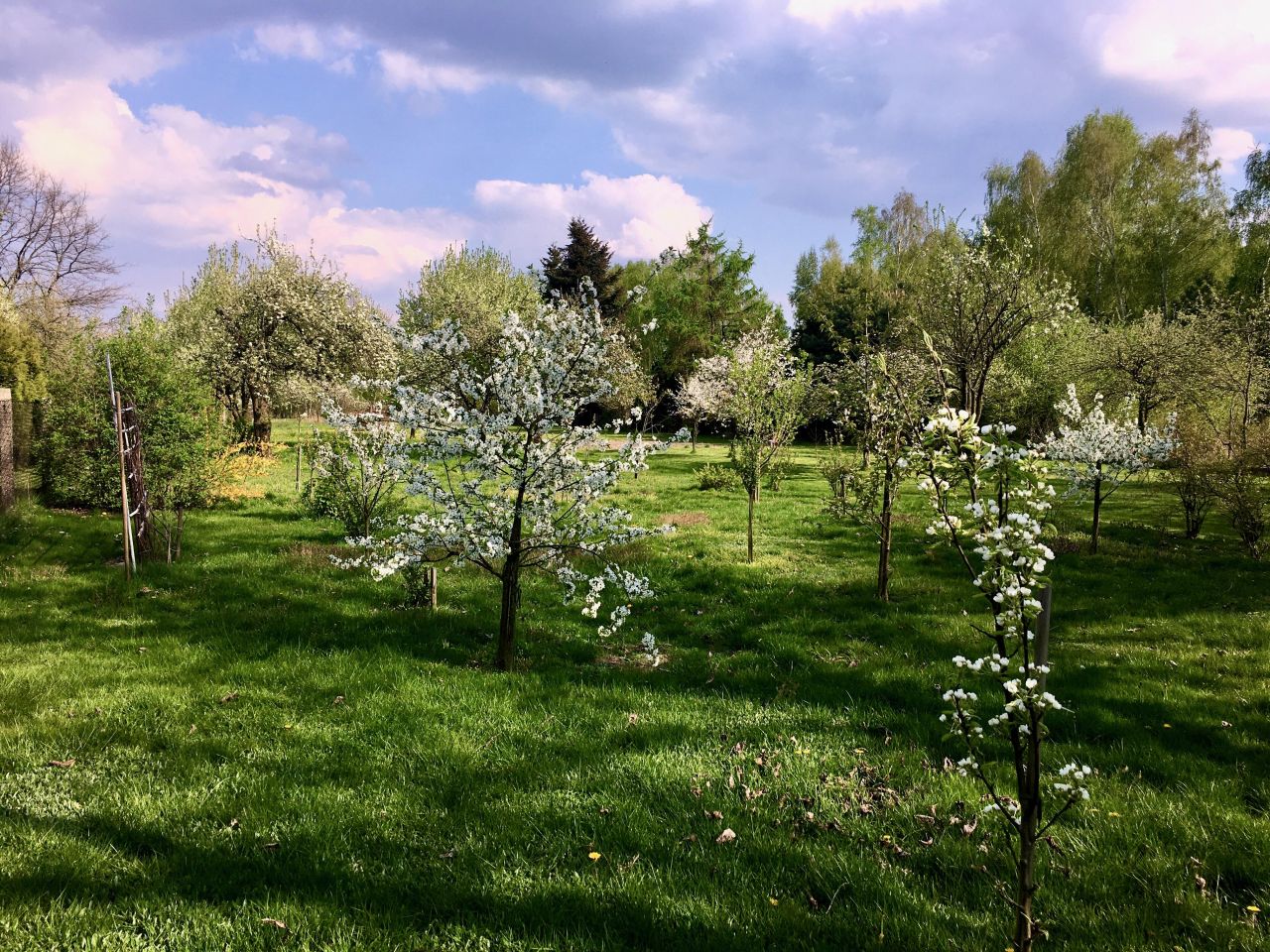 dom wolnostojący, 5 pokoi Zgierz Rudunki, ul. Przedwiośnie. Zdjęcie 17