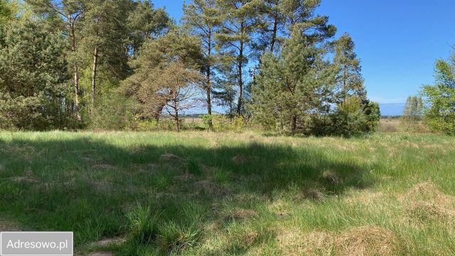 Działka Odargowo, ul. Źródlana. Zdjęcie 1